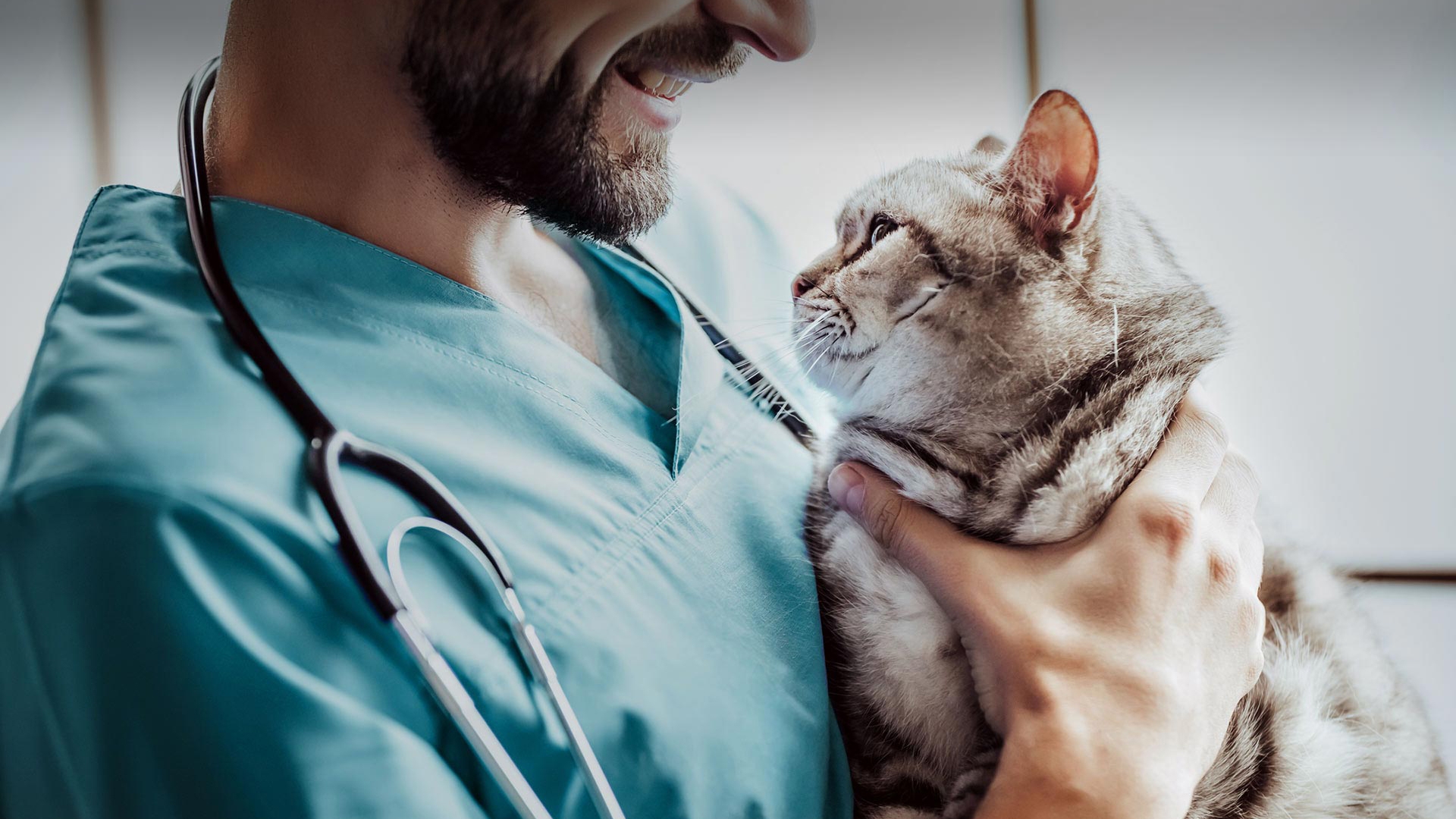 Tavşanlı Veteriner